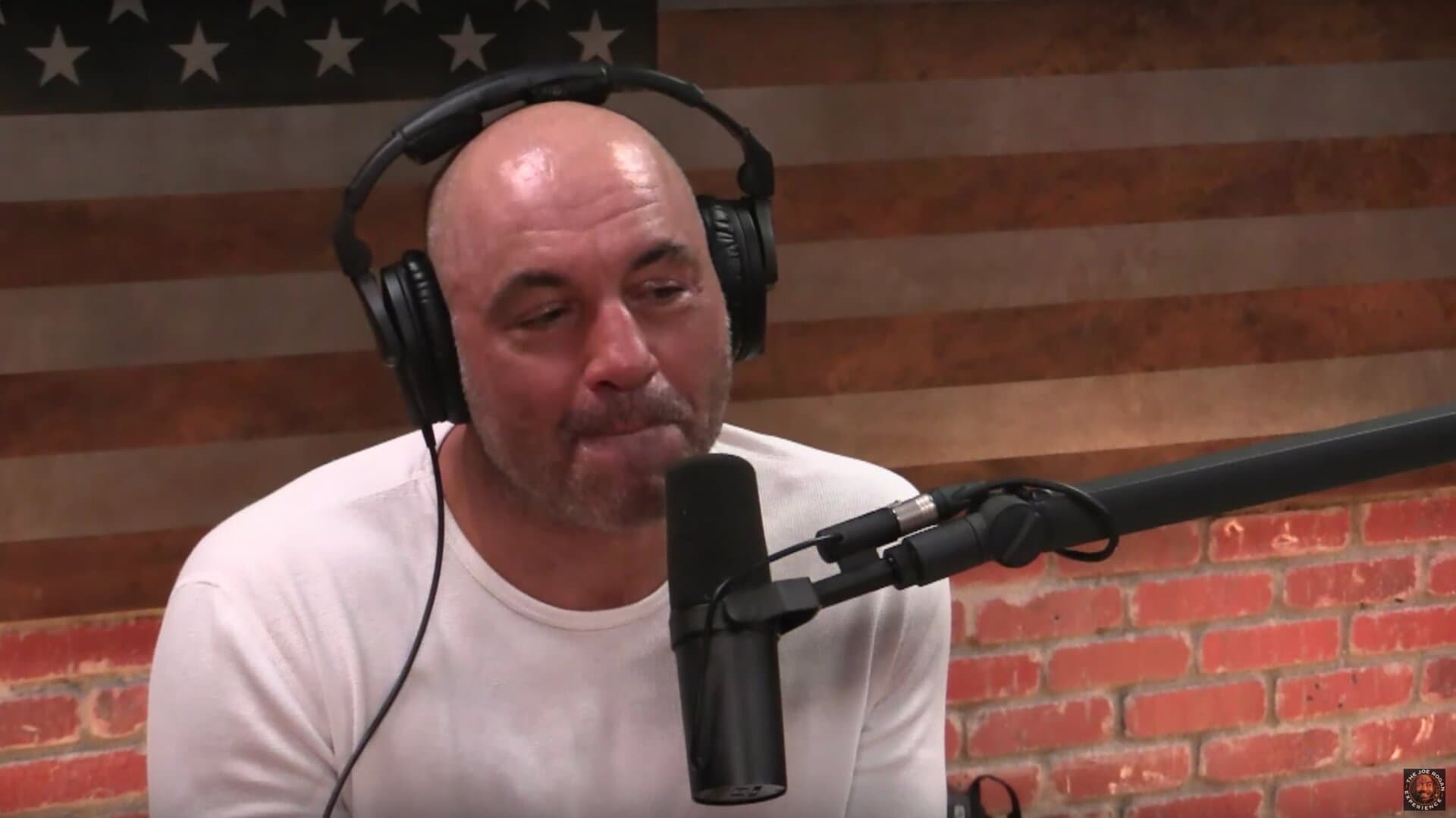 Rogan's Takes: AI, Trump & More! 🎙️
